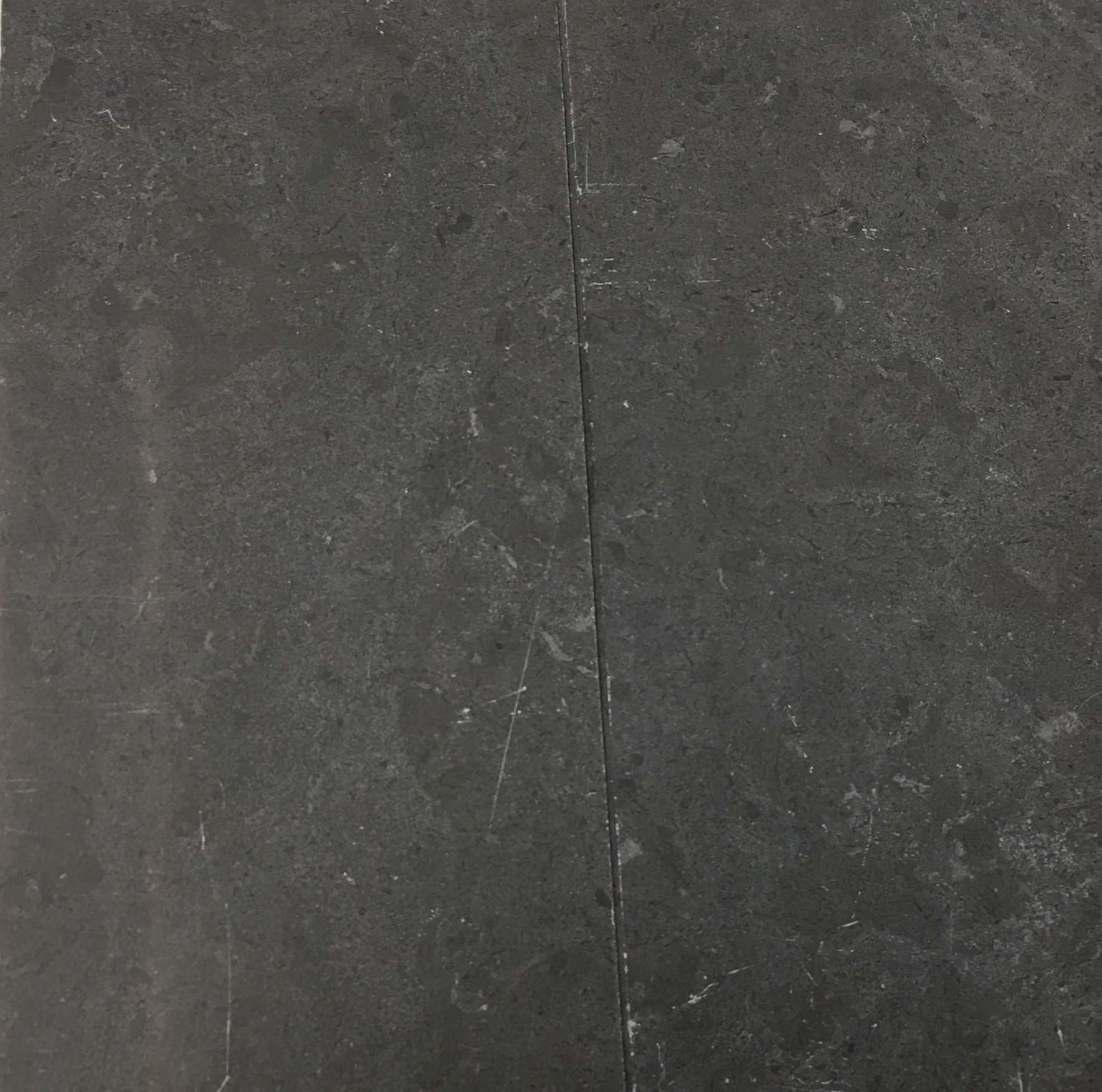 Fossil Gray Limestone (2)