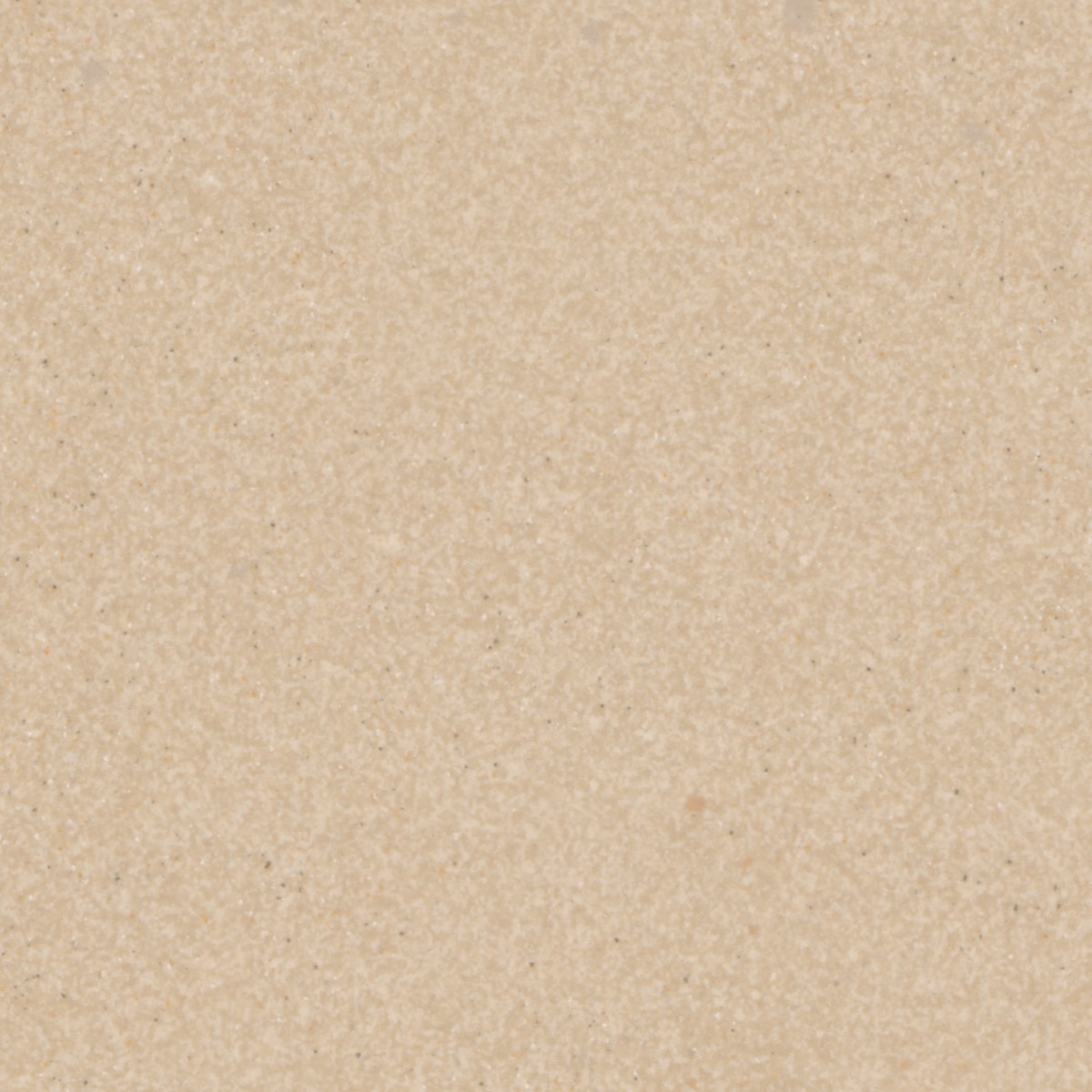 NARCBEI4848_s