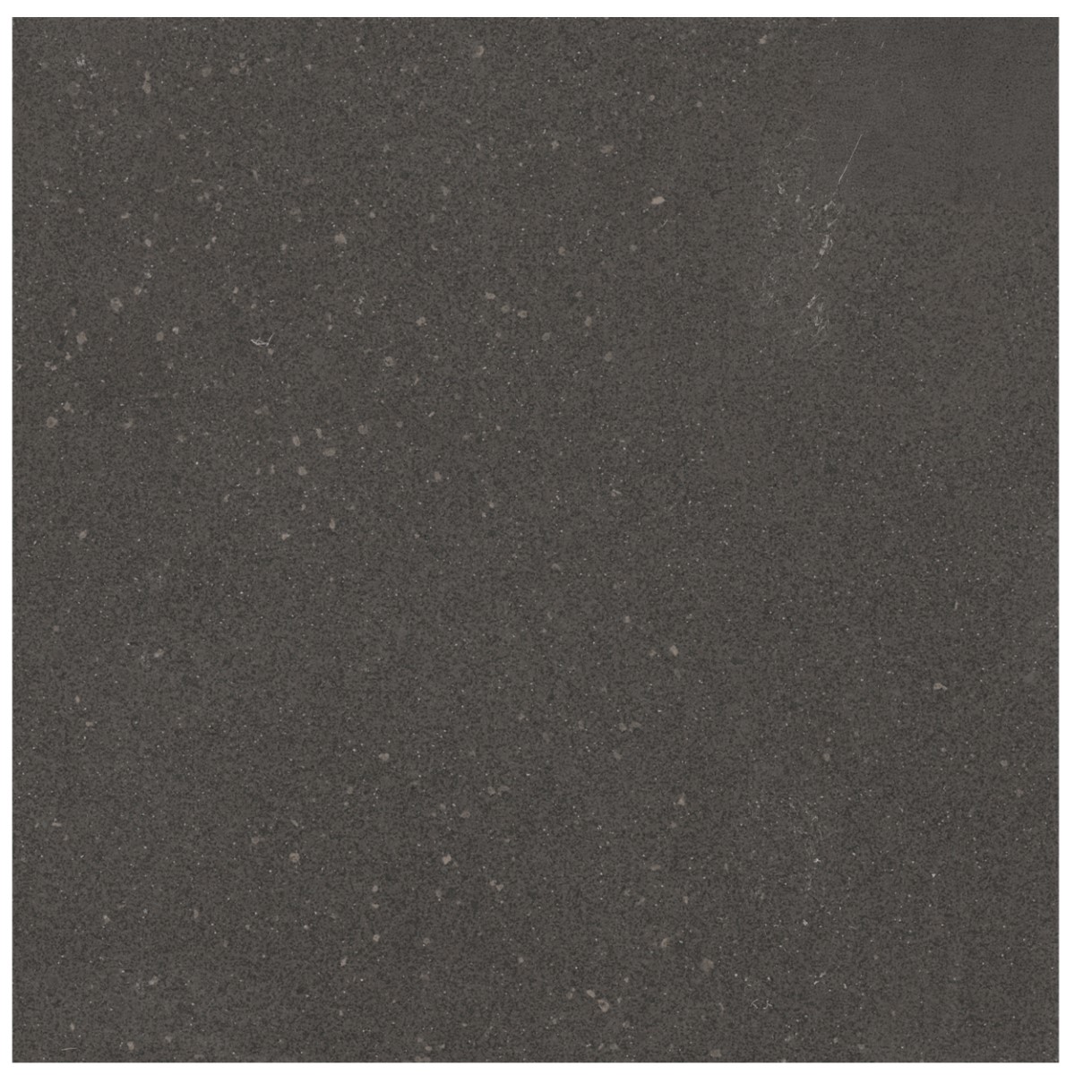 NARCGRA4848_a2