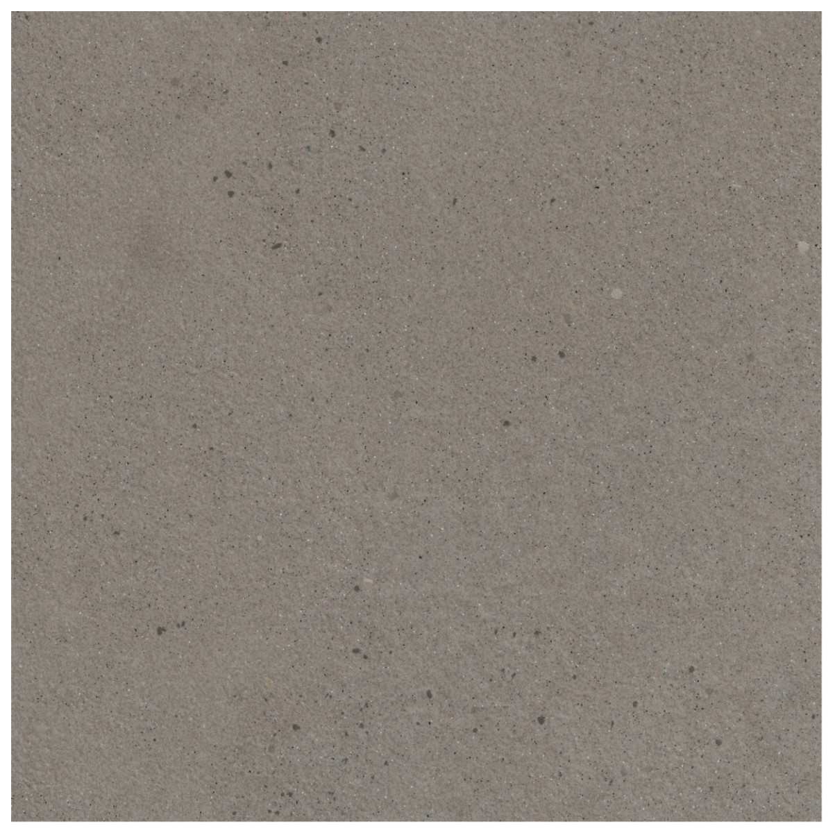 NARCGRI4848_a2
